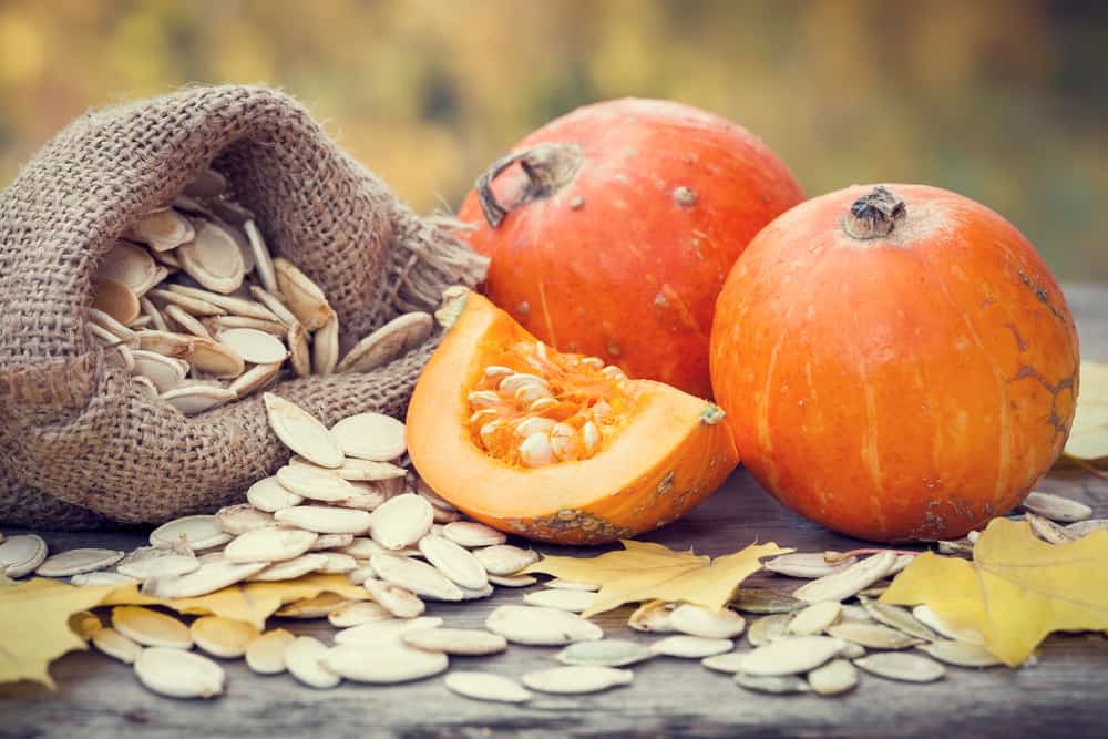 do-pumpkin-seeds-go-bad-7