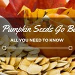 Do Pumpkin Seeds Go Bad