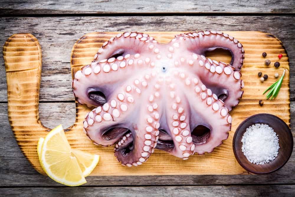 5 Easy Tips On How To Tenderize Octopus - Modern Sauces Making For Everyone