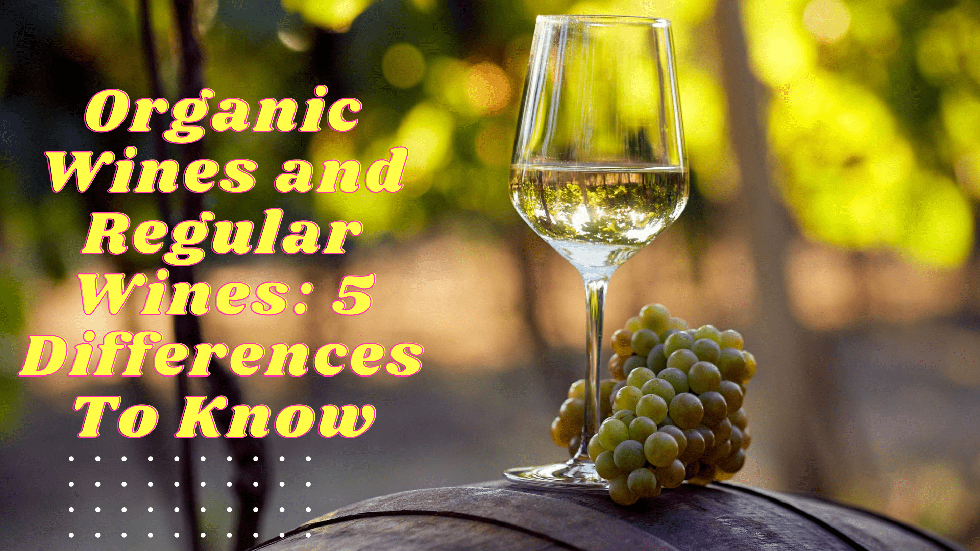 Organic Wines and Regular Wines