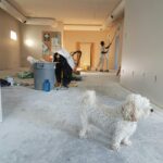 Redecoration with white dog