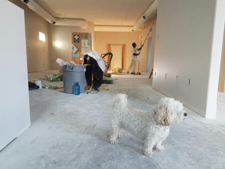 Redecoration with white dog