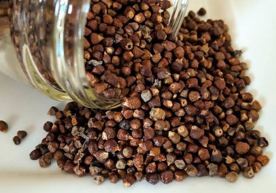 Grains of Paradise poured out of a jug